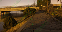 Obtener puntero láser verde genuino